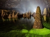 Phongnha Discovery Tours Phongnha Discovery Tours