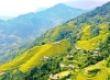 Phongnha Discovery Tours