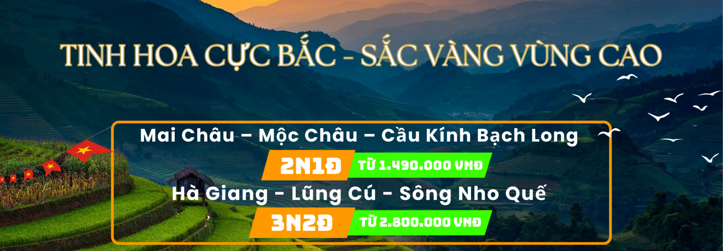 Phongnha Discovery Tours