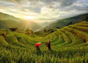 Phongnha Discovery Tours