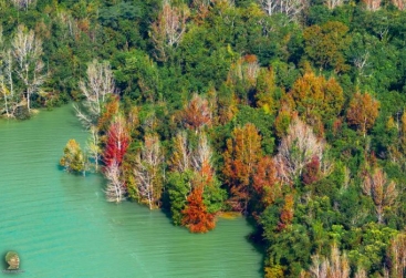 Phongnha Discovery Tours