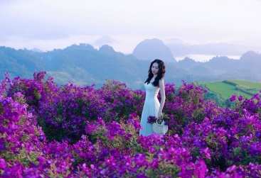 Phongnha Discovery Tours