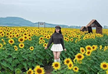 Phongnha Discovery Tours