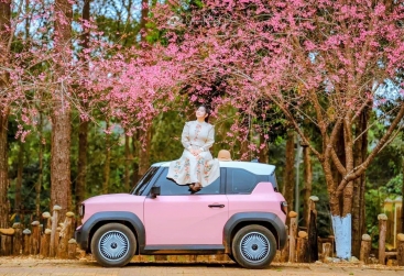 Phongnha Discovery Tours