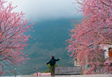 Phongnha Discovery Tours