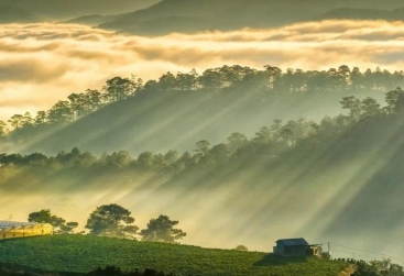 Phongnha Discovery Tours