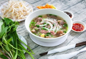 Phongnha Discovery Tours Phongnha Discovery Tours