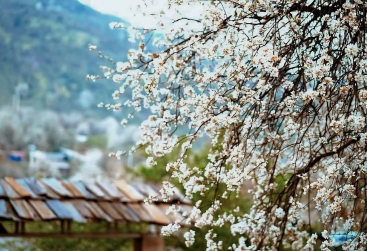 Phongnha Discovery Tours