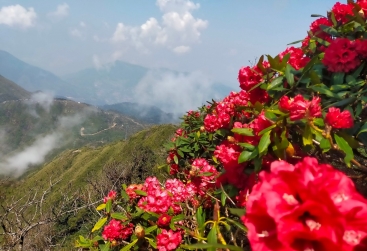 Phongnha Discovery Tours Phongnha Discovery Tours