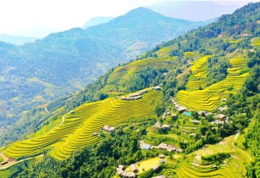 Phongnha Discovery Tours