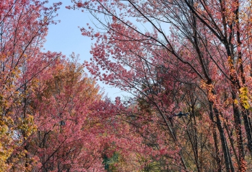 Phongnha Discovery Tours