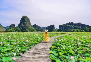 Phongnha Discovery Tours