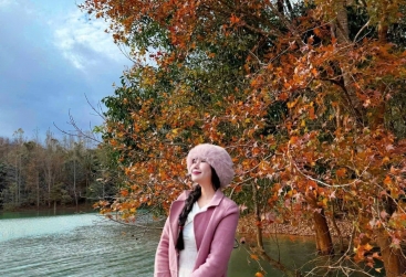 Phongnha Discovery Tours Phongnha Discovery Tours