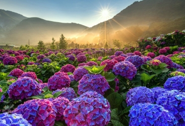 Phongnha Discovery Tours Phongnha Discovery Tours