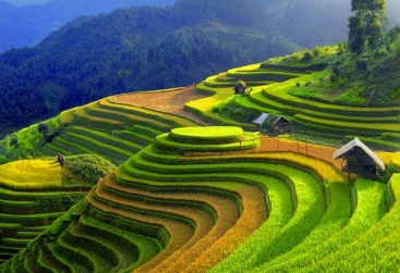 Phongnha Discovery Tours