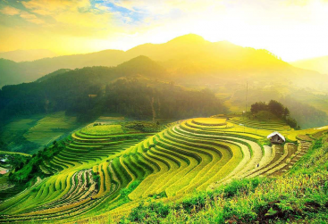 Phongnha Discovery Tours